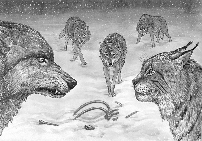 Напряженный момент