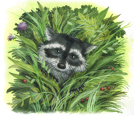 К рассказам К. Паустовского.