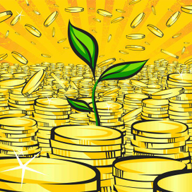 денежное дерево 