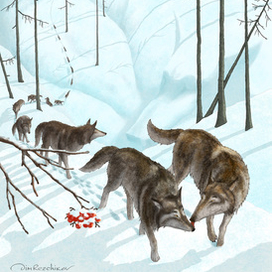 БеС Дороги (январь)