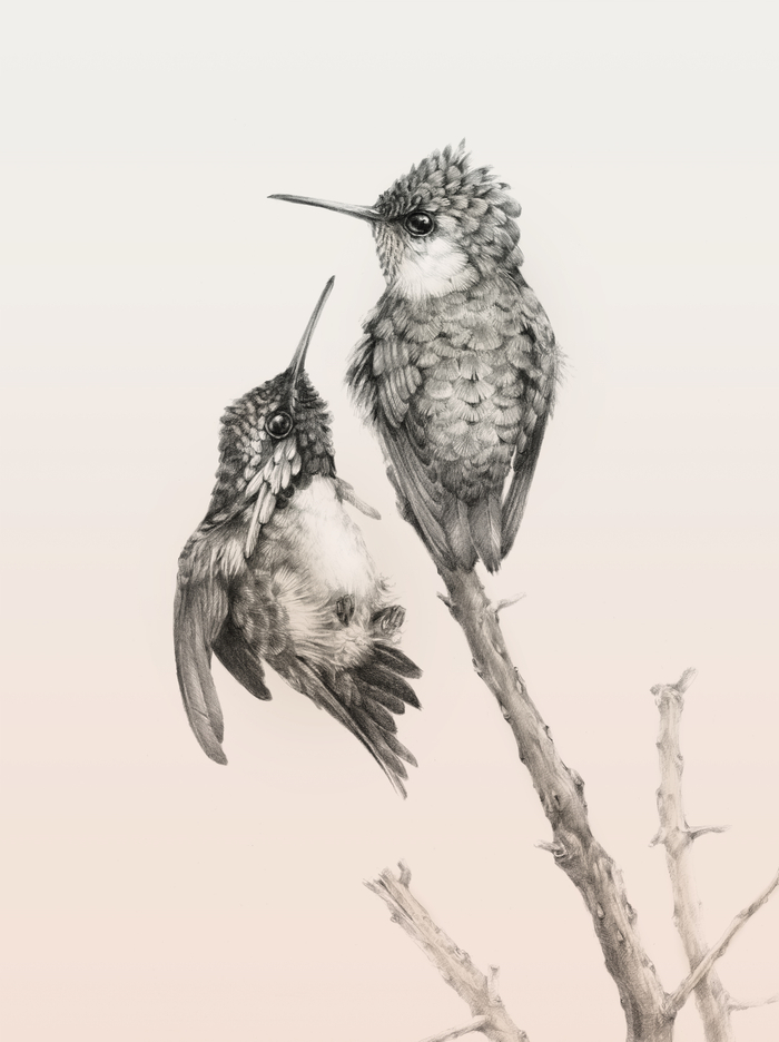 Тайные знаки. Арт-серия графики