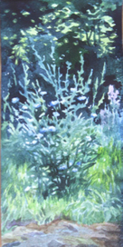 Цикорий(зарисовочка про лето)