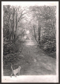 Кошка , которая гуляет...