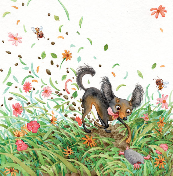 цветочные грядки