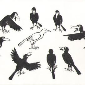 "Белая ворона"