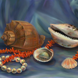 Ракушки (натюрморт)