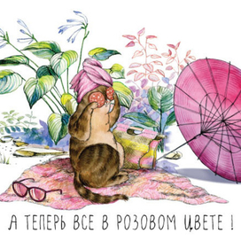 Книга про кошку