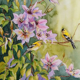 Желтые пташки