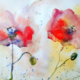 Маки шепчутся