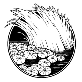 Озеро, графика