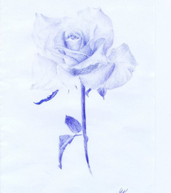 цветок белый