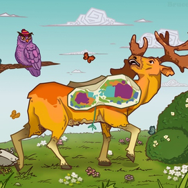 Анатомически верные смешарики Лосяш и Совунья