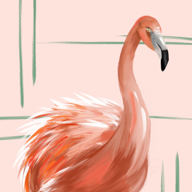 Pink flamingo