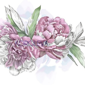 Иллюстрация01