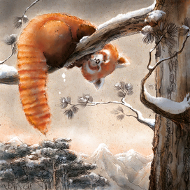 красная панда