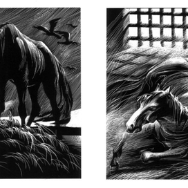 Илл. к повести Л.Н.Толстого "Холстомер"