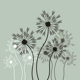 Одуванчики 