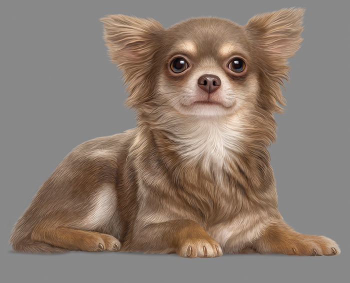 Собаченция