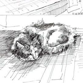 catsketch