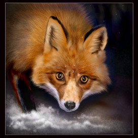 lovely fox
