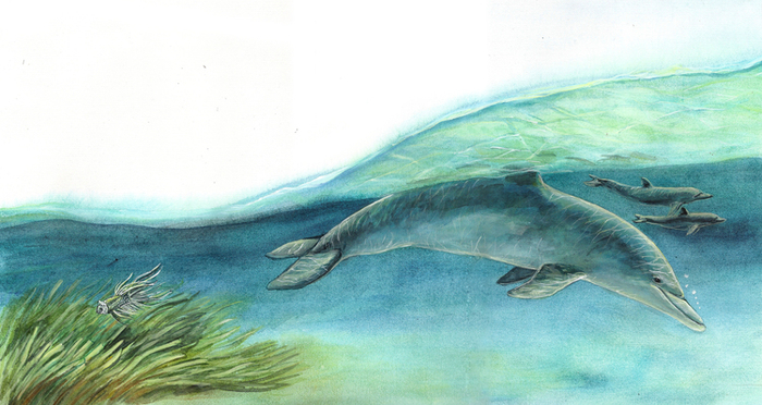 "Приключения принцессы-рыбки"