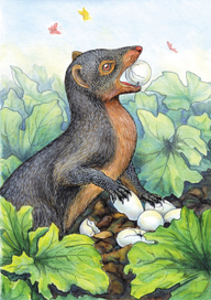 Рикки-Тикки-Тави