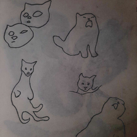 Наскальные котики