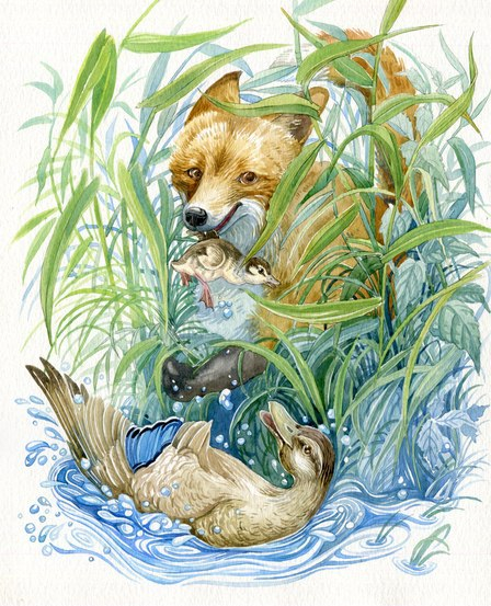 Окончательный вариант для "Серая Шейка"