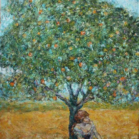 апельсиновое дерево