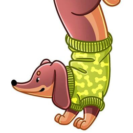 Такса Супер Макс