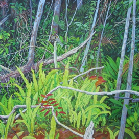 Через лес. Самамбайи