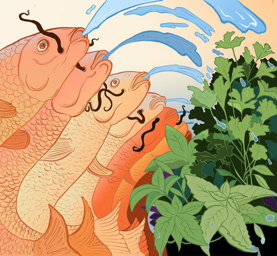 Рыбные эко хозяйства