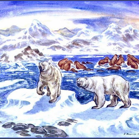 Три медведя в арктике.