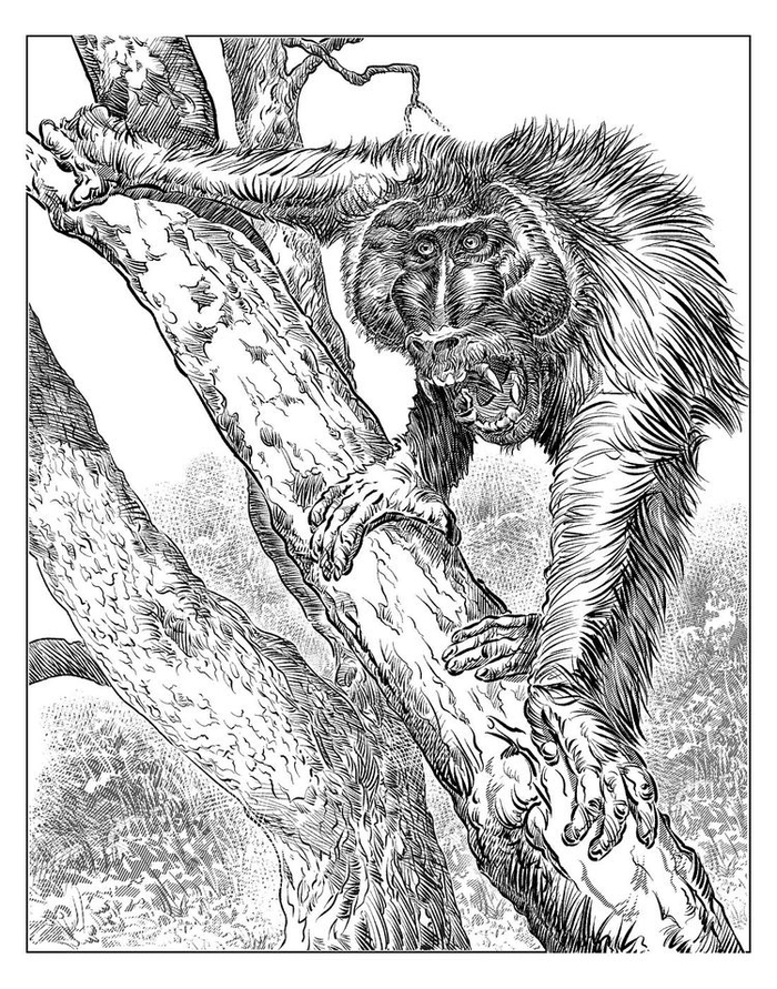 Эволюционный рывок в тень знаний...)