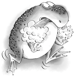 Дымовая жаба