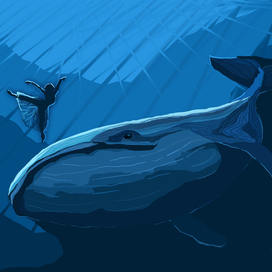 кит и балерина