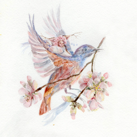 Весна и маленькая птичка