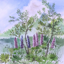 Летний день