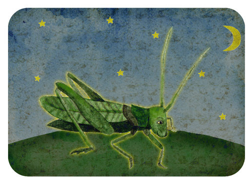 кухнечик и большая медведица