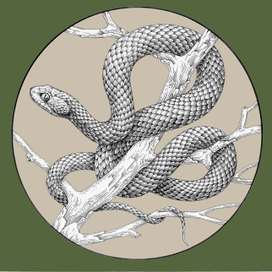 Кошачья змея. Серия Красная Книга СССР