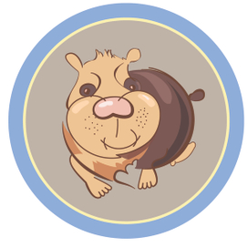 Морская свинка Саша