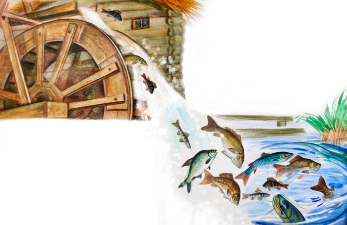 Рыба и мельница