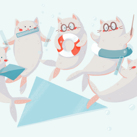 Морские котики