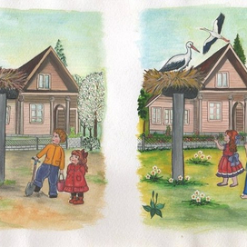 Аисты прилетели