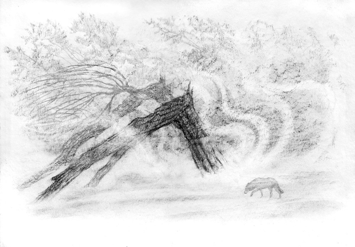 "Сквозь февральские метели..." Иллюстрация к повести В.А.Потиевского "Мага уводит стаю" 