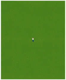 Лето человека