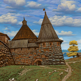Соловки-Поваренные ворота /серия работ/