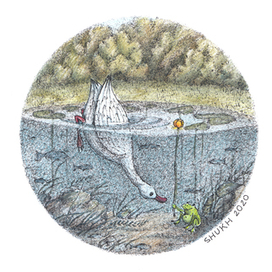 Галантный кавалер