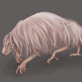 Из страшных снов