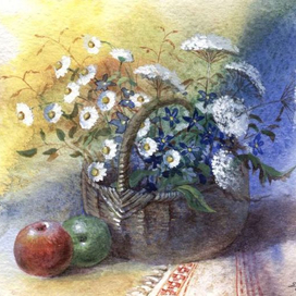 Луговые цветы